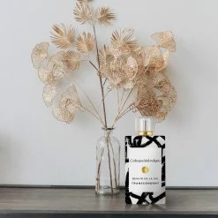 Best Sale 🎁 Catherine Malandrino Transcendent Eau De Parfum Gift Set 😍 -Women’s Fragrances Shop unnamed file 33